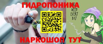 spice Мариинск