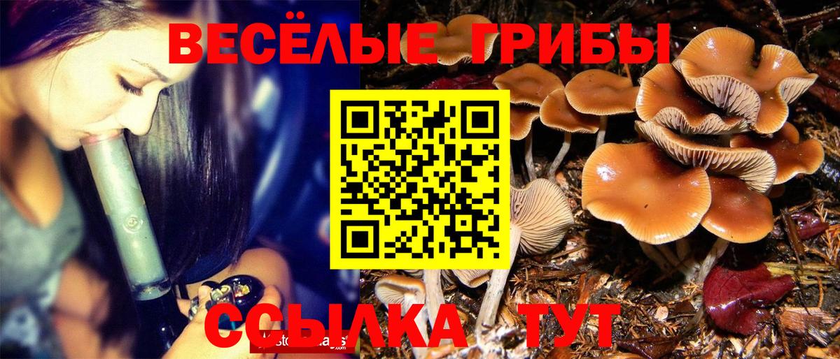 Псилоцибиновые грибы ЛСД Городец